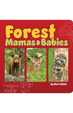 Forest Mamas & Babies - Stan Tekiela