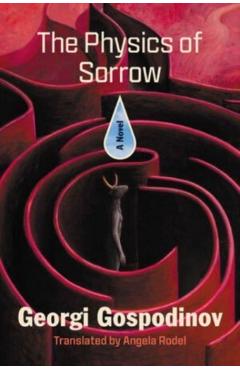 The Physics of Sorrow - Georgi Gospodinov