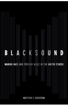 Blacksound: Making Race and Popular Music in the United States - Matthew D. Morrison