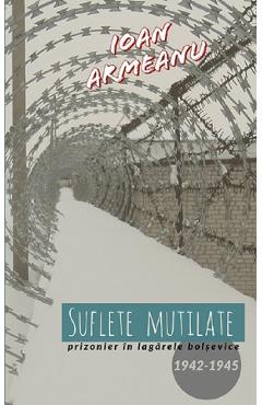 Suflete mutilate. Prizonier in lagarele bolsevice 1942-1945 - Ioan Armeanu