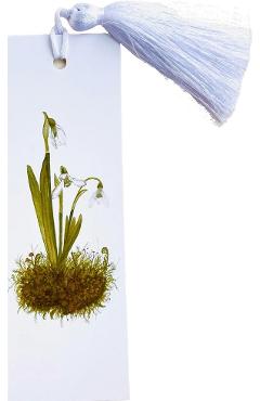 Semn de carte. Ghiocei