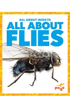 All about Flies - Golriz Golkar
