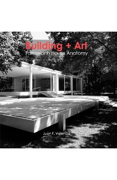 Building + art: farnsworth house anatomy - juan fernando valencia