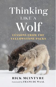 Thinking Like a Wolf: Lessons from the Yellowstone Packs - Rick Mcintyre