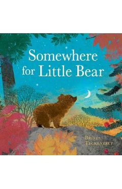 Somewhere for Little Bear - Britta Teckentrup
