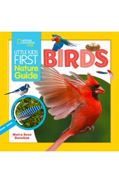 Little Kids First Nature Guide Birds - Moira Rose Donohue