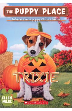 Trixie (the Puppy Place #69) - Ellen Miles