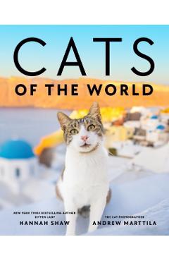 Cats of the World - Hannah Shaw