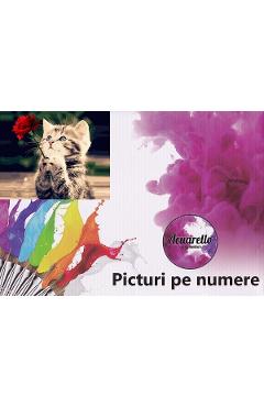 Pictura pe numere: Pisica si trandafir