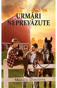 Urmari neprevazute - Monica Dimitriu - INK STORY