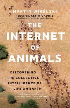 The Internet of Animals: Discovering the Collective Intelligence of Life on Earth - Martin Wikelski