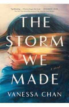 The Storm We Made - Vanessa Chan