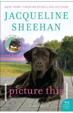 Picture This - Jacqueline Sheehan