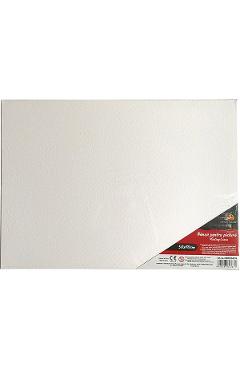 Panza pentru pictura pe sasiu 50 x 70