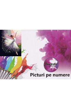 Pictura pe numere: Balerina