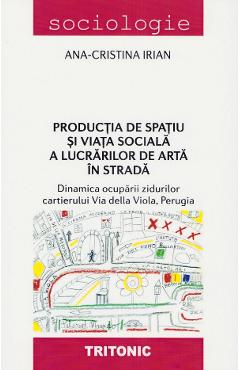 Productia de spatiu si viata sociala a lucrarilor de arta in strada - Ana-Cristina Irian