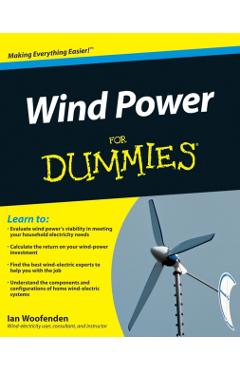 Wind Power For Dummies - Ian Woofenden