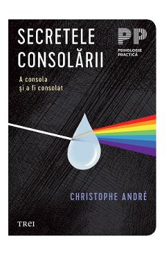 eBook Secretele consolarii. A consola si a fi consolat - Christophe Andre