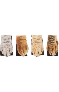 Set 4 semne de carte magnetice: Cat Paw