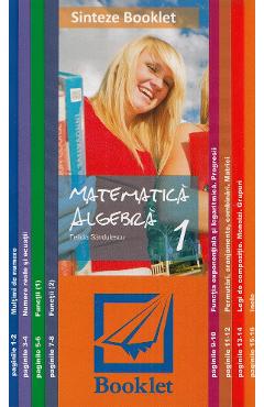 Sinteze booklet 1 - Algebra - Felicia Sandulescu