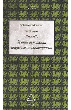 Spatiul in romanul anglo-saxon contemporan - Pia Brinzeu