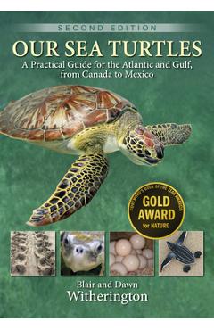 Our Sea Turtles: A Practical Guide for the Atlantic and Gulf, from Canada to Mexico - Blair Witherington