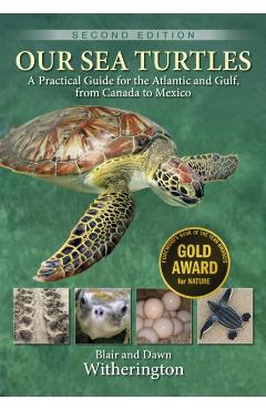 Our Sea Turtles: A Practical Guide for the Atlantic and Gulf, from Canada to Mexico - Blair Witherington