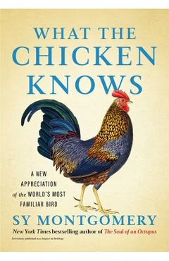 What the Chicken Knows: A New Appreciation of the World\'s Most Familiar Bird - Sy Montgomery