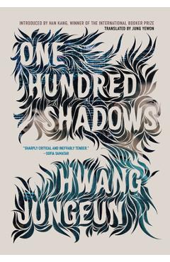 One Hundred Shadows - Hwang Jungeun