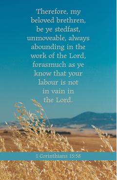 General Worship Bulletin: Be Ye Stedfast (Package of 100): 1 Corinthians 15:58 (Kjv) - Broadman Church Supplies Staff