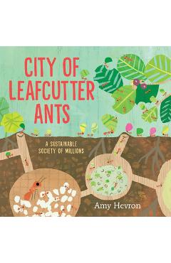 City of Leafcutter Ants: A Sustainable Society of Millions - Amy Hevron
