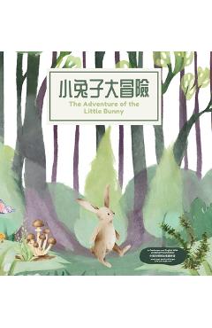 The Adventure of the Little Bunny - Tiny Hands Publishing