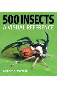 500 Insects: A Visual Reference