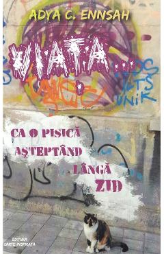 Viata... ca o pisica asteptand langa zid - Adya C. Ennsah - CARTE INSPIRATA