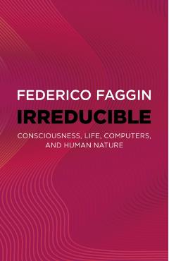 Irreducible: Consciousness, Life, Computers, and Human Nature - Federico Faggin