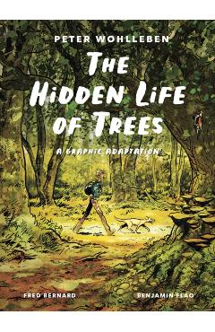 The Hidden Life of Trees: A Graphic Adaptation: (Of the International Bestseller) - Peter Wohlleben