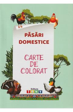 Pasari domestice. Carte de colorat