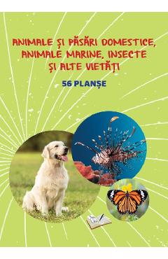 Planse: Animale si pasari domestice, animale marine, insecte si alte vietati