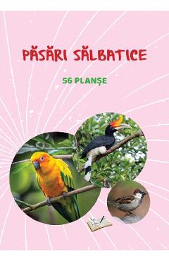 Planse: Pasari salbatice - ARS LIBRI