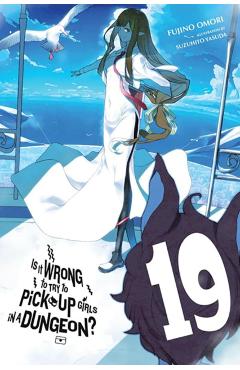 Is It Wrong to Try to Pick Up Girls in a Dungeon?, Vol. 19 (Light Novel) - Fujino Omori