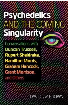 Psychedelics and the Coming Singularity: Conversations with Duncan Trussell, Rupert Sheldrake, Hamilton Morris, Graham Hancock, Grant Morrison, and Ot - David Jay Brown