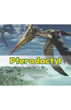 Pterodactyl - Daniel Nunn