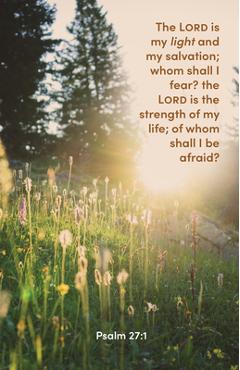 General Worship Bulletin: The Lord Is My Light (Package of 100): Psalm 27:1 (Kjv) - Broadman Church Supplies Staff