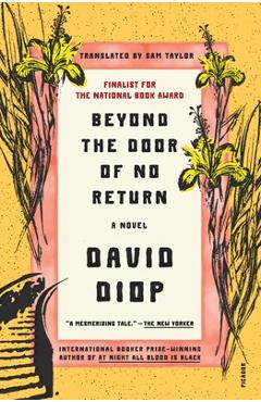 Beyond the Door of No Return - David Diop