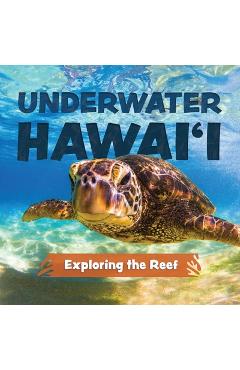 Underwater Hawai\'i: Exploring the Reef: A Children\'s Picture Book about Hawai\'i - Keith Riegert