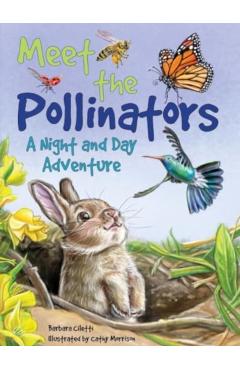 Meet the Pollinators: A Night and Day Adventure - Barbara Ciletti