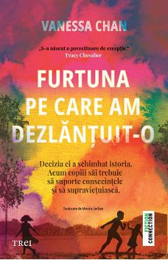 eBook Furtuna pe care am dezlantuit-o - Vanessa Chan