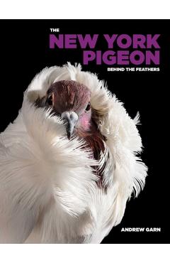 The New York Pigeon - Andrew Garn