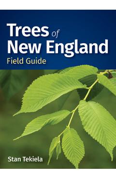 Trees of New England Field Guide - Stan Tekiela