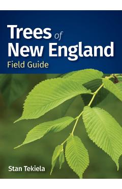 Trees of New England Field Guide - Stan Tekiela